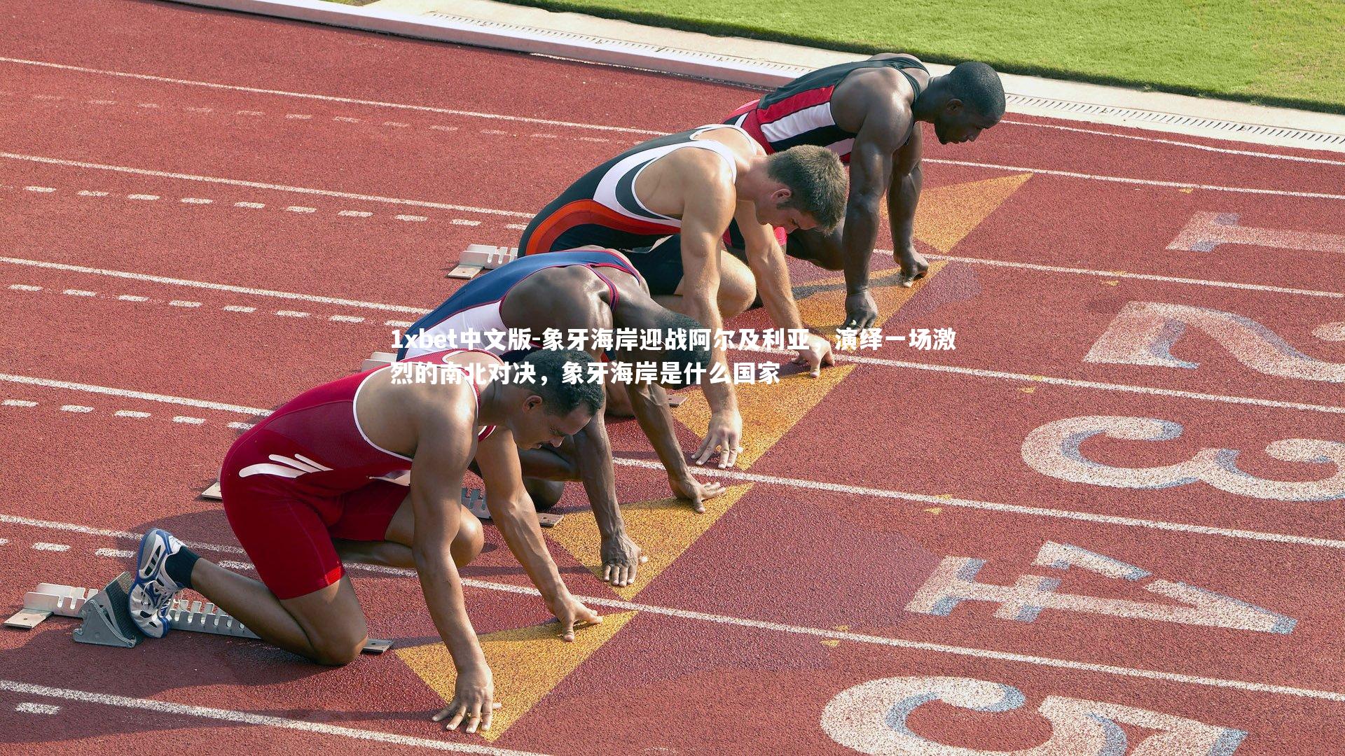 象牙海岸迎战阿尔及利亚，演绎一场激烈的南北对决，象牙海岸是什么国家