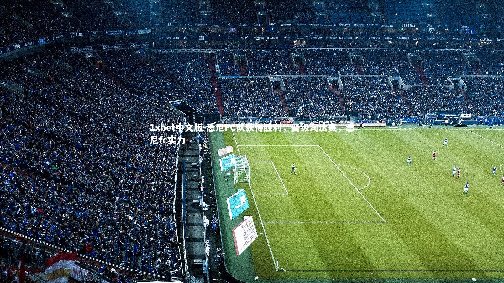 1xbet中文版-悉尼FC队获得胜利，晋级淘汰赛，悉尼fc实力