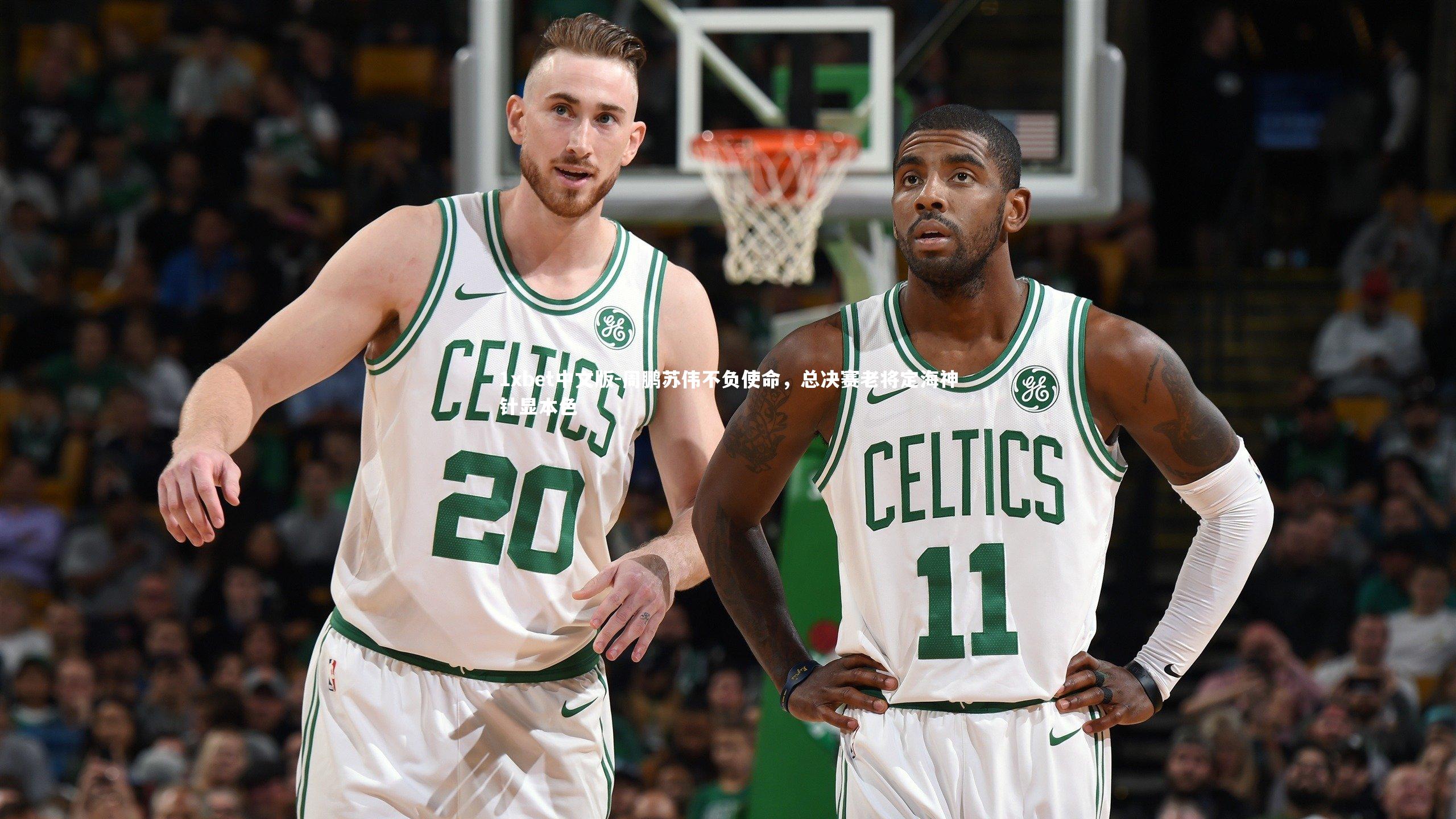 周鹏苏伟不负使命，总决赛老将定海神针显本色